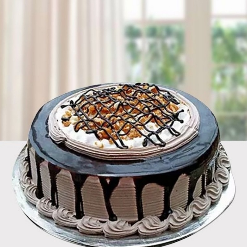 Choco Nova Cake